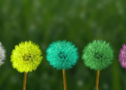 Formazione e supervisione per le Professioni d’aiuto
